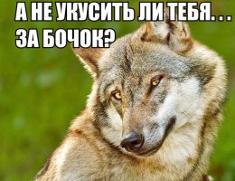 Волчок.jpg