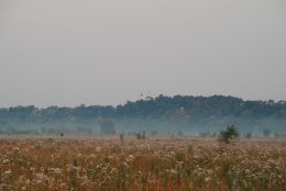 13 - Храм в Трубчевске.JPG