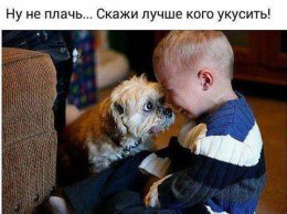 Не плачь. Кого укусить.jpg