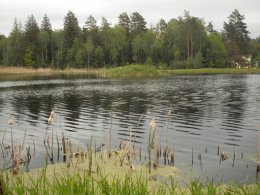 SDC19868.JPG