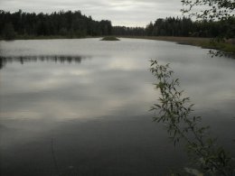 SDC19876.JPG