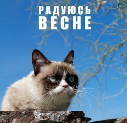 Радуюсь весне.jpg