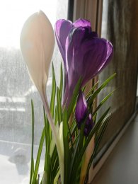 DSCN0509.JPG