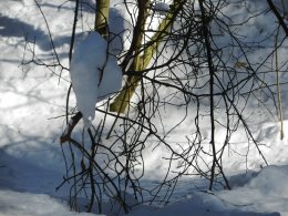 DSCN2607.JPG