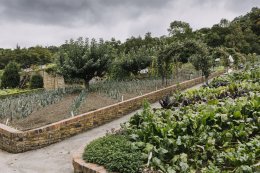 Chatsworth-gardens-eva-nemeth_13.jpg